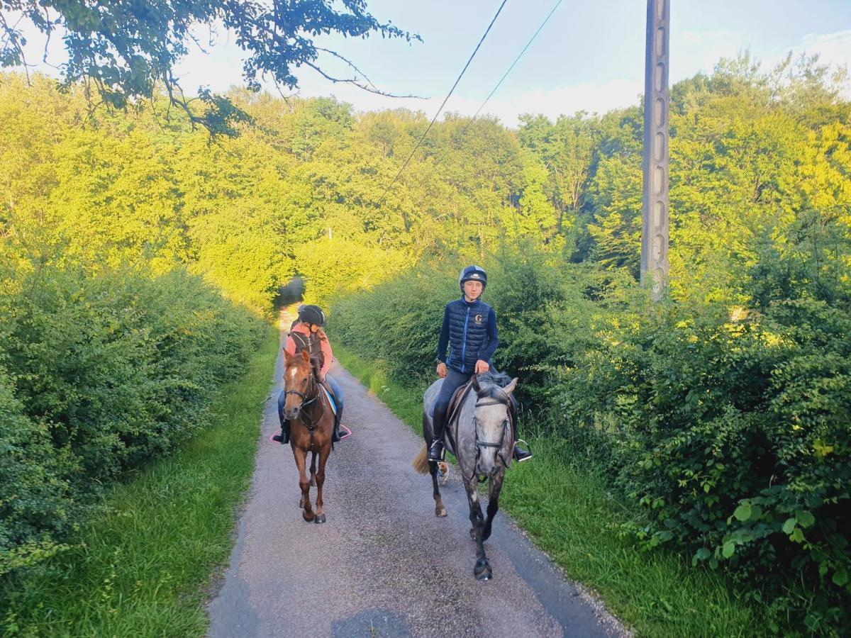 Ferme Equestre & D'hotes Gateau Stables Proche Guedelon Saint-Amand-en-Puisaye