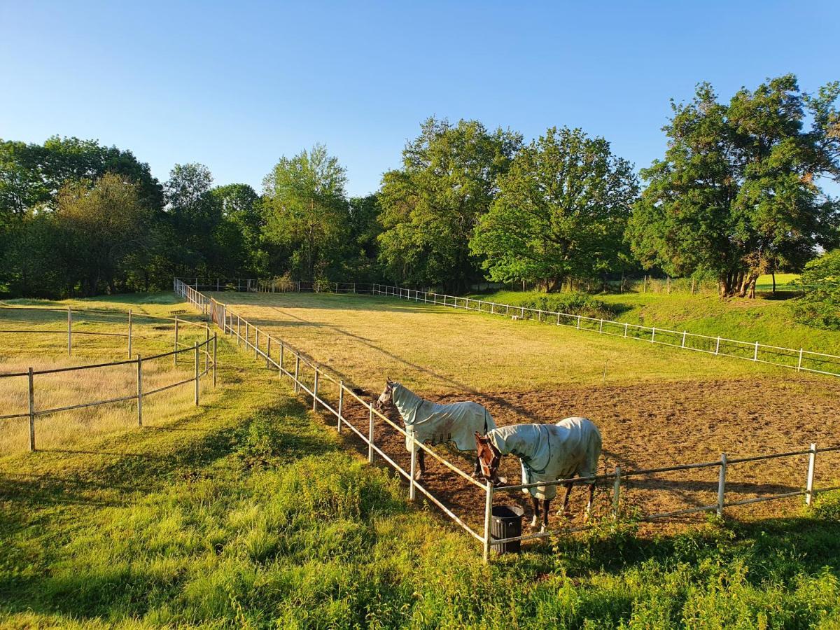 Ferme Equestre & D'hotes Gateau Stables Proche Guedelon Saint-Amand-en-Puisaye