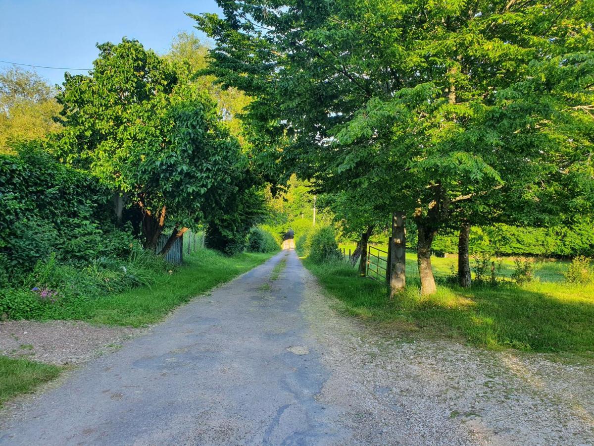 Ferme Equestre & D'hotes Gateau Stables Proche Guedelon Bed & Breakfast Saint-Amand-en-Puisaye