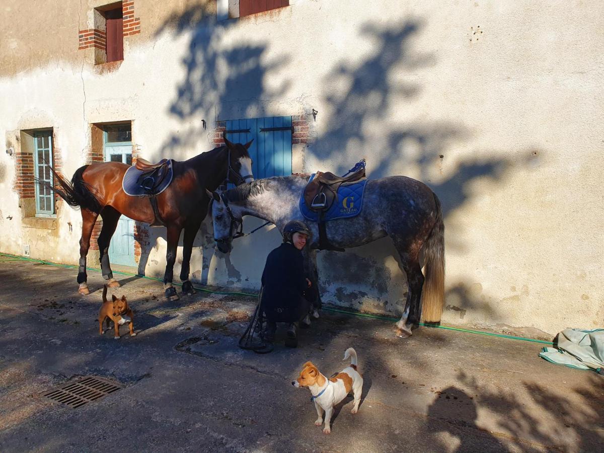 Bed & Breakfast Ferme Equestre & D'hotes Gateau Stables Proche Guedelon Saint-Amand-en-Puisaye