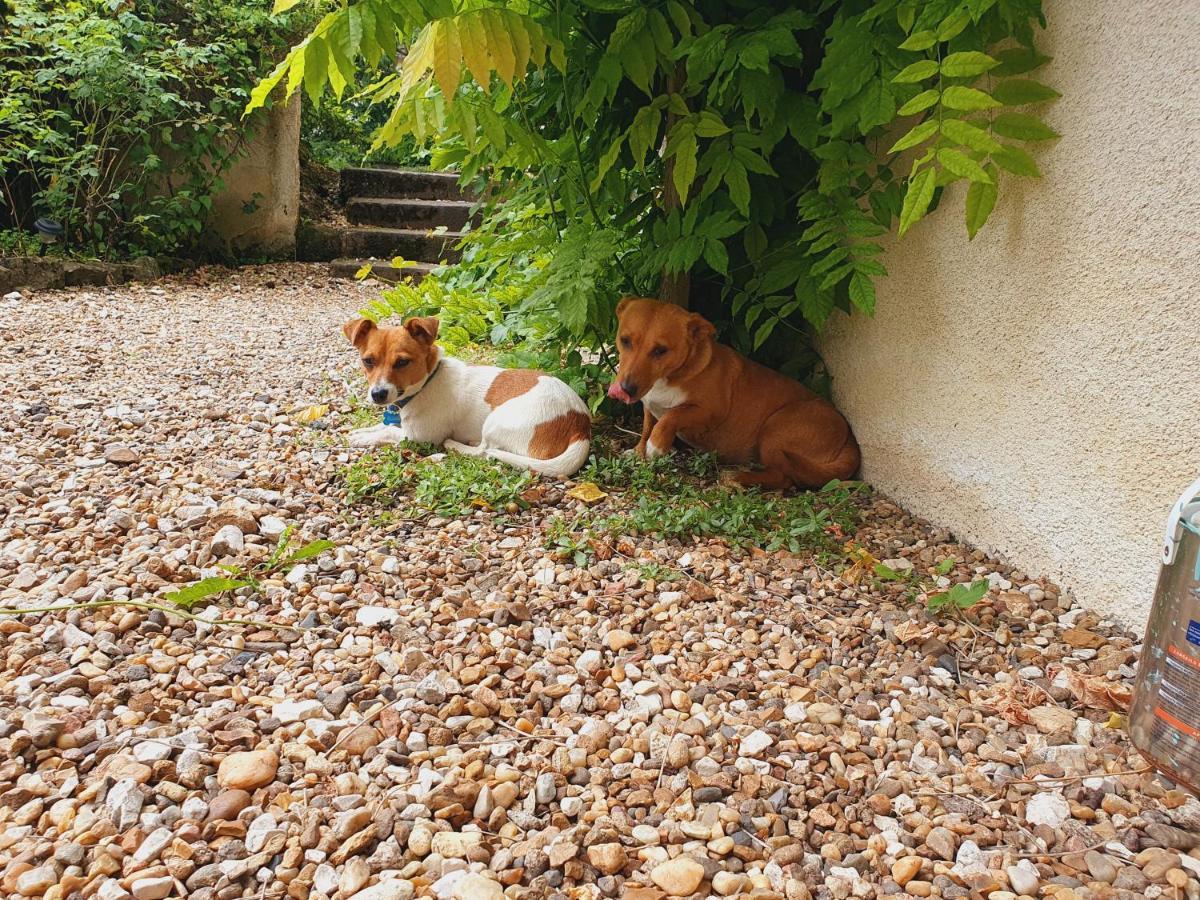 Bed & Breakfast Ferme Equestre & D'hotes Gateau Stables Proche Guedelon Saint-Amand-en-Puisaye
