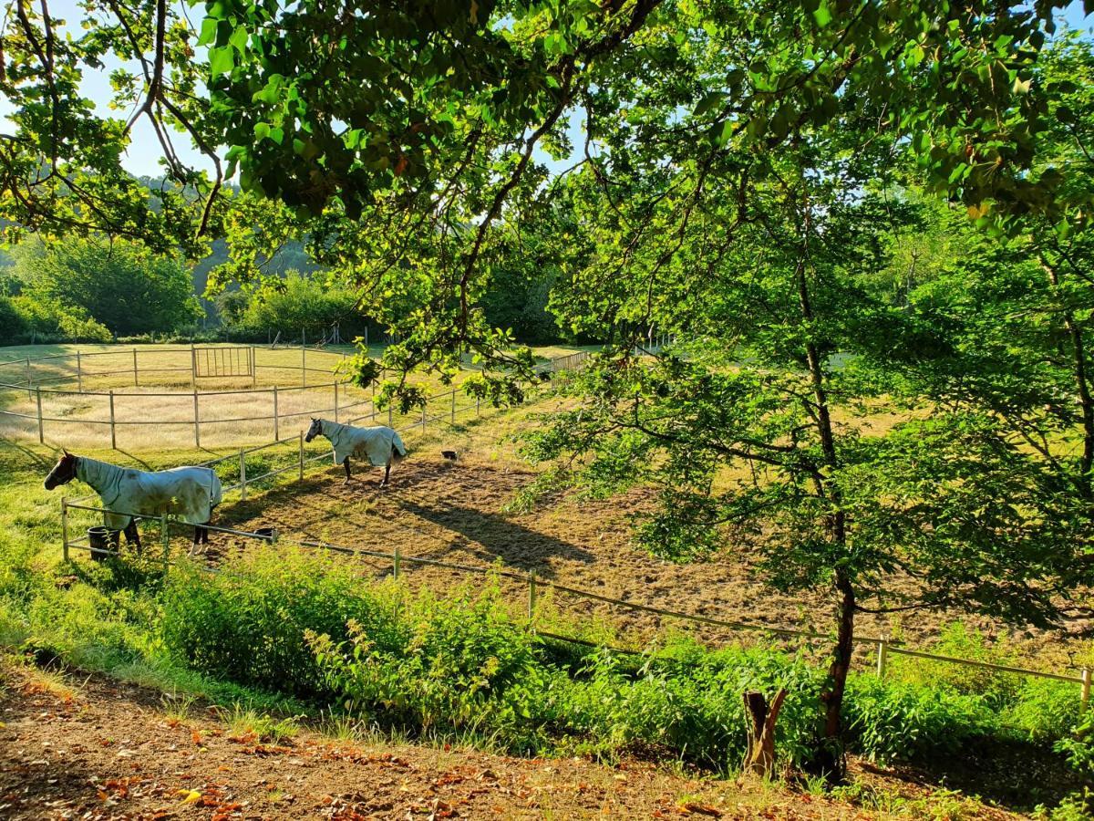 Ferme Equestre & D'hotes Gateau Stables Proche Guedelon Saint-Amand-en-Puisaye