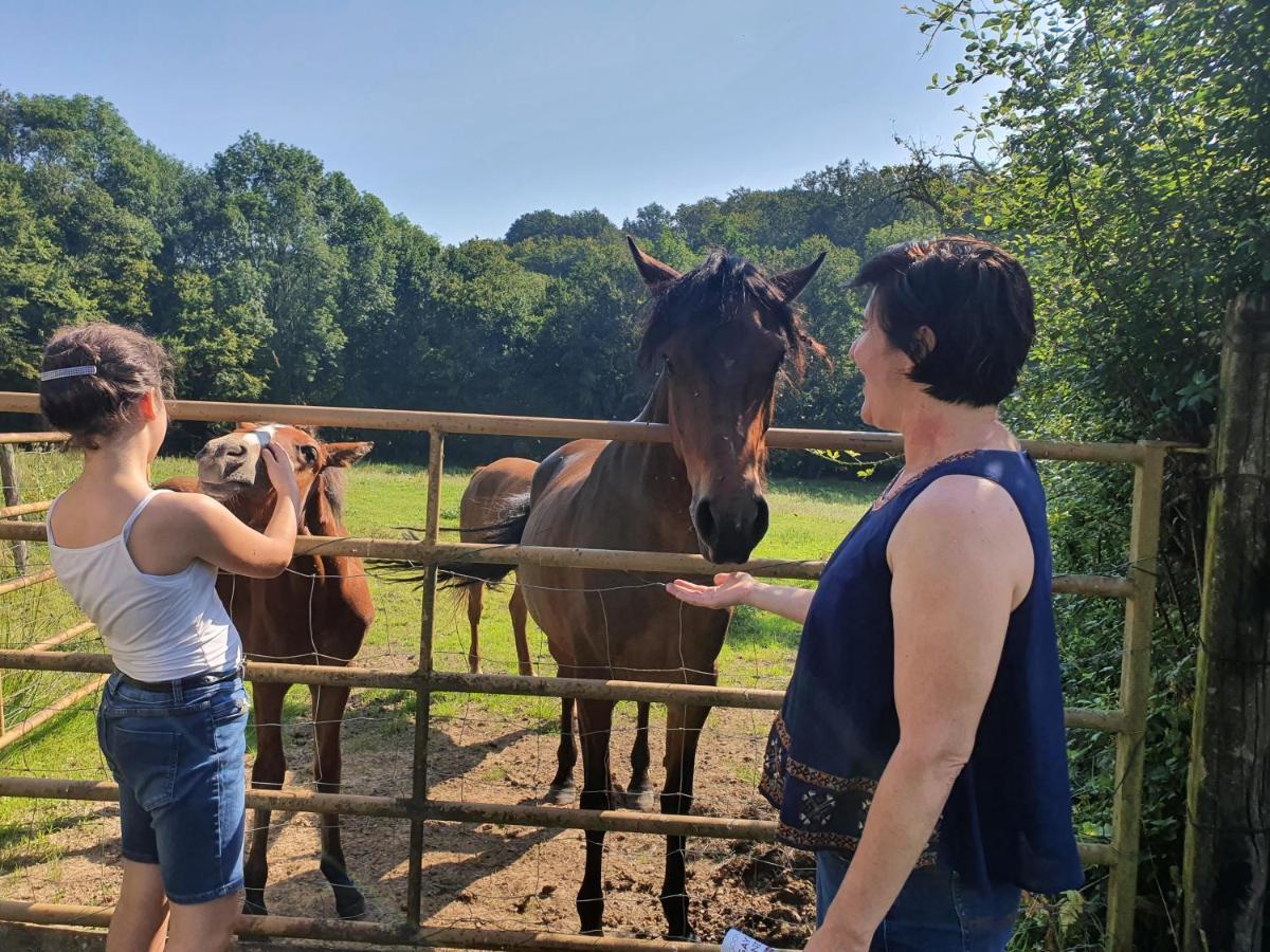 Ferme Equestre & D'hotes Gateau Stables Proche Guedelon Saint-Amand-en-Puisaye