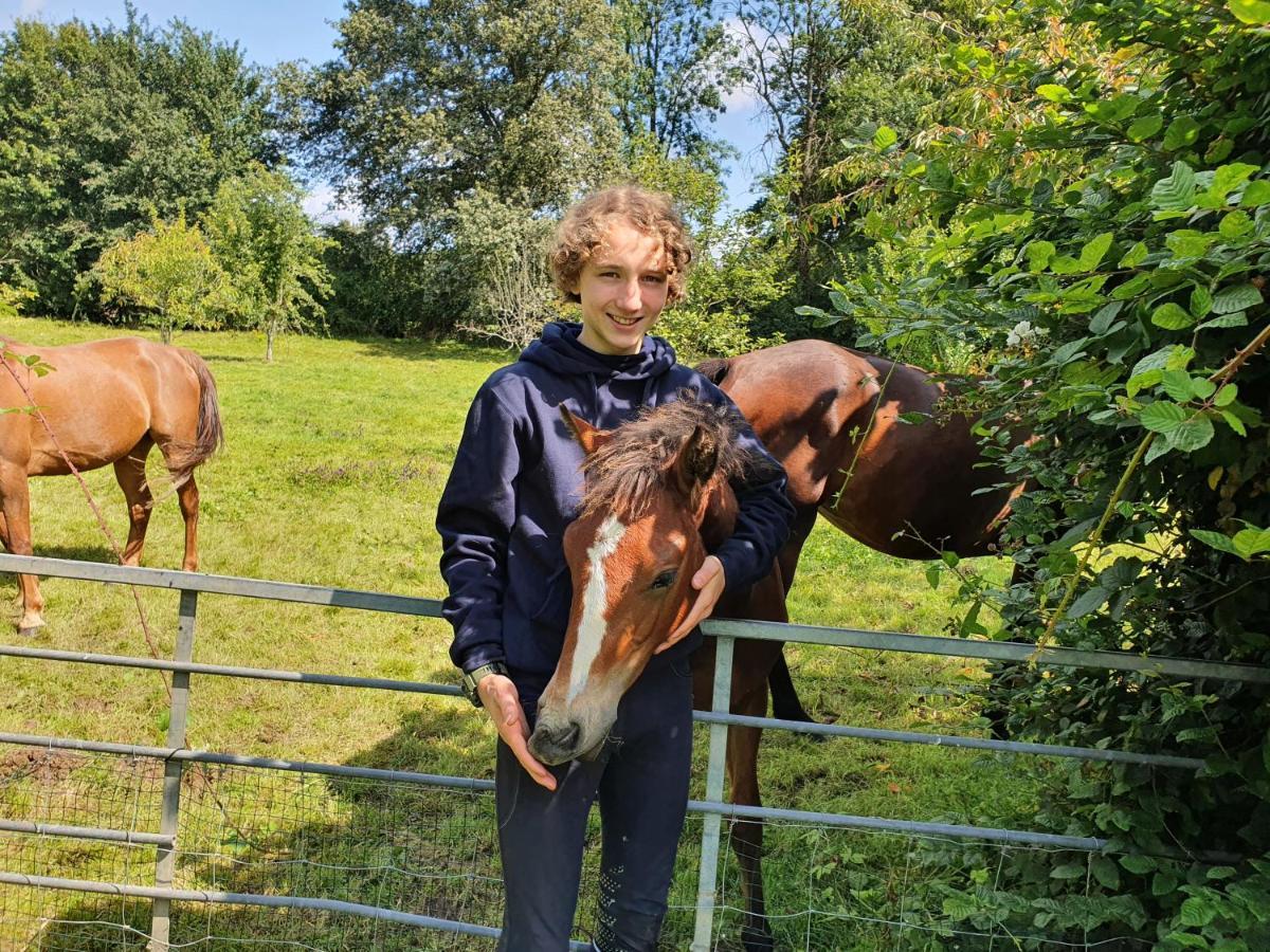 Ferme Equestre & D'hotes Gateau Stables Proche Guedelon Bed & Breakfast