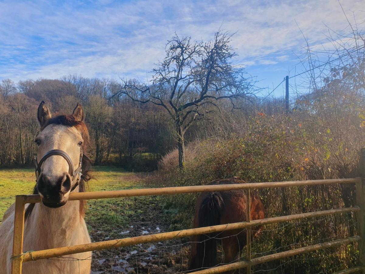 Bed & Breakfast Ferme Equestre & D'hotes Gateau Stables Proche Guedelon *