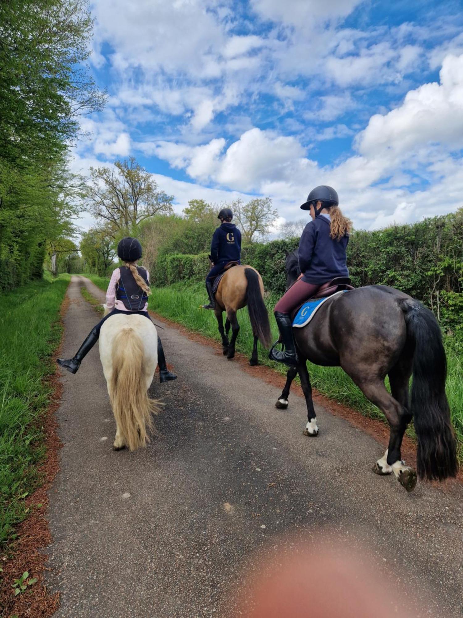 Bed & Breakfast Ferme Equestre & D'hotes Gateau Stables Proche Guedelon Saint-Amand-en-Puisaye